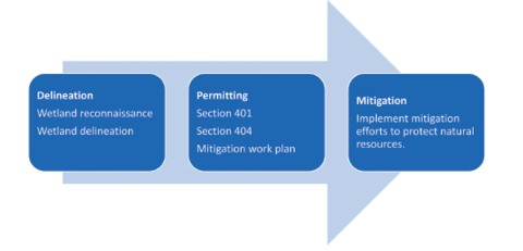 Workflow showing the permitting process: delineation (Wetland reconnaissance; Wetland delineation) is followed by permitting (Section 401; Section 404; Mitigation work plan) and ends with mitigation (Implement mitigation efforts to protect natural resources). 