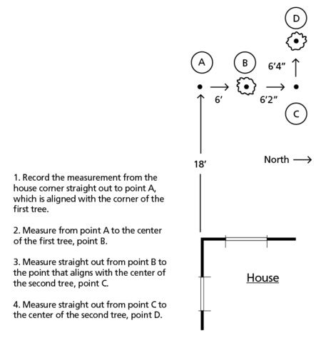 Diagram showing how to use the sight line of a house to locate an existing tree in the landscape.