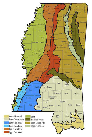 Map of Mississippi showing the major soil regions, as described under the heading Major Soil Resource Areas.