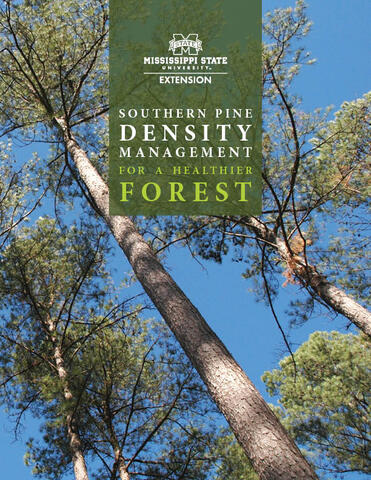 Cover of MSU Extension Publication 2893, titled Southern Pine Density Management for a Healthier Forest, featuring tall pine trees against a clear blue sky.