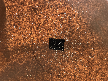 The paper with marked target is held up to the light for examination. 