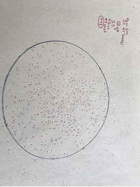 The totals are written on the paper above the target circle for reference. 