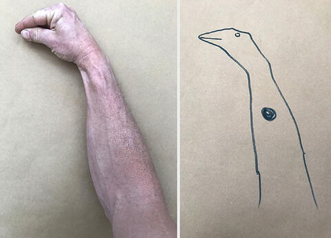 Split image: In the first, an arm is placed on parchment paper making the shape of a turkey head and neck. The second shows an outline of a turkey after being traced. A target is in the middle of the neck.