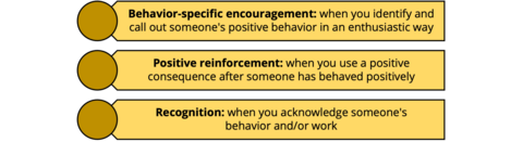 1. Behavior-specific encouragement: identifying and calling out someone's positive behavior in an enthusiastic way 2. Positive reinforcement: using a reward after someone has behaved positively to increase the likelihood of the person repeating the behavior 3. Recognition: acknowledging and highlighting someone's good behavior and/or the high quality of their work