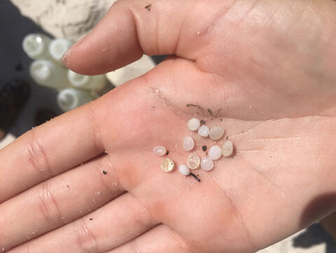 A person's hand with about 10 small, round, white pieces of plastic.