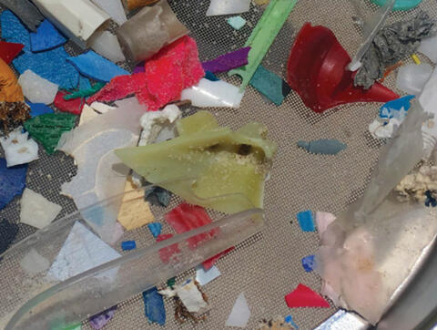 Various sizes, colors, and shapes of plastic are on a mesh tray.