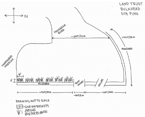 Overhead view of the drawing from page 15. Labeled sections include the Pascagoula River, bulkhead, unarmored shoreline, areas where gabion baskets and Juncus roemerianus will be next to a bulkhead along the shore, boat launch, and failure. 