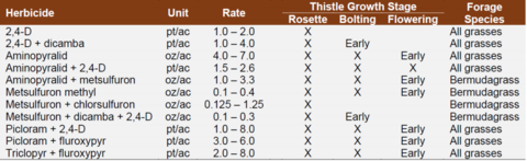 Table showing recommended herbicides for thistle control ant different growth stages in Mississippi.