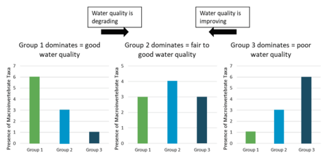 Three bar graphs show that if Group 1 dominates, water quality is good. If Group 2 dominates, water quality is fair to good. If Group 3 dominates, water quality is poor.
