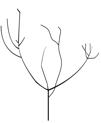 A small tree with a few sprouts.