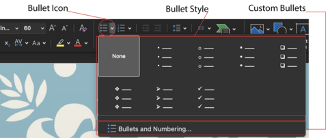 Screenshot showing options for selecting bullets.
