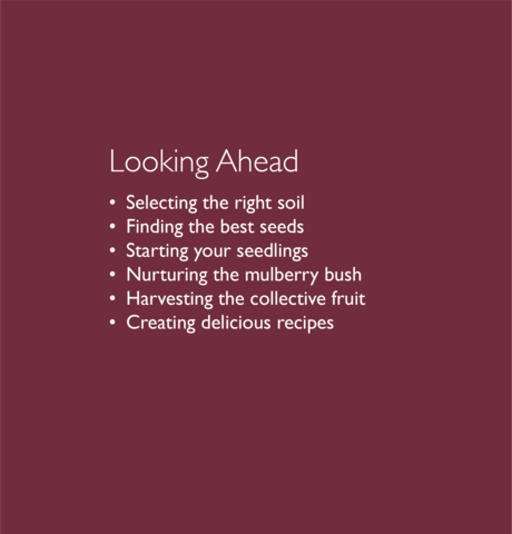 Example slide with the following text:  [Heading] Looking Ahead [Body] Selecting the right soil; finding the best seeds; starting your seedlings; nurturing the mulberry bush; harvesting the collective fruit; and creating delicious recipes. 