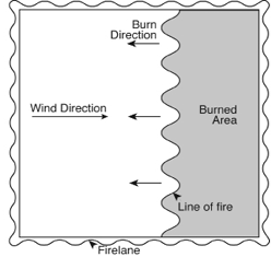 Diagram for back fire prescribed burning technique, where fire is set against the direction of the wind.