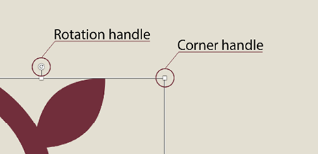 Screenshot of an image's corner and rotation handles, each one labeled.