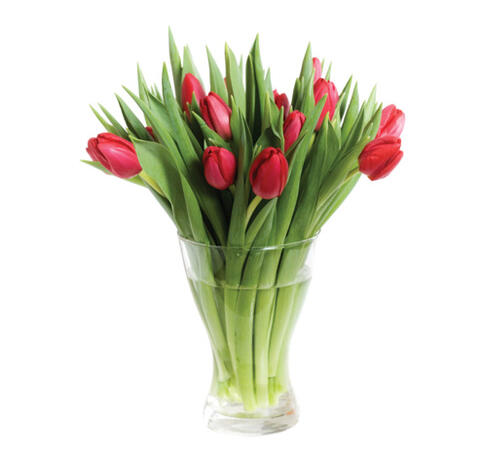A vase of tulips that are upright.
