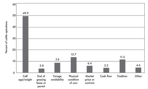 bar chart displaying the operation percentages for determining when to wean calves by most important factors: Calf age/weight, 49.9%; End of grazing lease or permit, 2.8%; Forage availability, 7.9%; Physical condition of cow, 13.7%; Market price or contract, 6.4%; Cash flow, 3.2%; Tradition, 11.5%, and Other, 4.6%