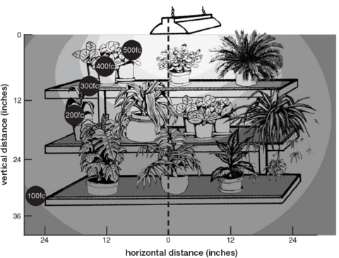 Light output at different distances from the lamps: 100 fc at about 30 inches; 200 fc at about 14 inches; 300 fc at about 10 inches; 400 fc at about 8 inches; 500 fc at about 6 inches.