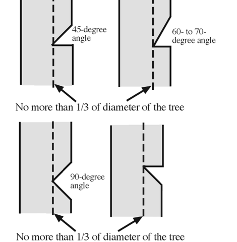 Four diagrams of side views on trees show the different angles of wedges for face cuts. For each angle (45-degree, 60- to -70-degree, 90-degree, and an inverse 45-degree angle), the face cut should not be more than 1/3 of the diameter of the tree.