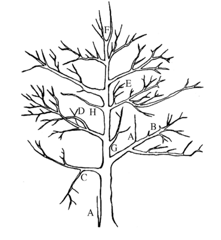 Image description in text.