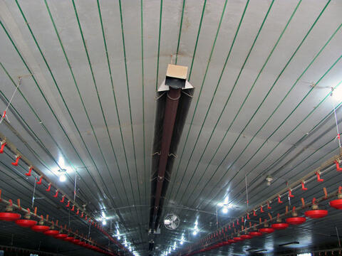 A tube heater hangs from the center of the broiler house roof.