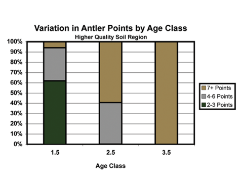 Figure 2. Bar graphs demonstrating how the number of antler points varies for 1.5-, 2.5-, and 3.5-year bucks in areas of higher and lower soil quality in Mississippi. Information on age-related antler development is critical when developing a site-specific antler restriction.