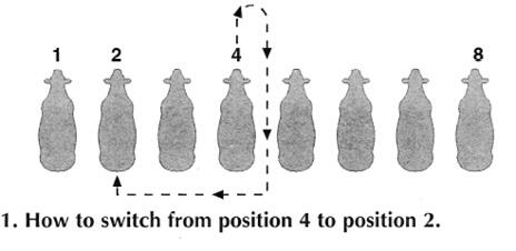 To switch from position 4 to position 2, walk the calf forward, turn right and go back through position 4, turn right again and walk the calf behind the other positions to move into position 2.