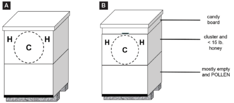 Description in caption. For B, the image shows a candy board at the top of the chamber. Under the candy board is the cluster and less than 15 pounds of honey. The bottom section is labeled "mostly empty and pollen."