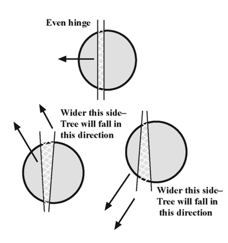 Three different types of hinges are show from a bird's-eye view of a trunk.