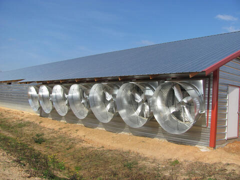 Seven large metal fans on the side of a metal-plated broiler house.