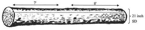 A 16-foot butt-log with enough clear wood sections (7 and 8 feet) that the butt-log can be classified as an F1-grade tree.