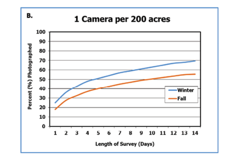 With one game camera per 200 acres, the percent of deer photographed in the fall increased from about 19 percent at day 1 to about 58 percent at day 14. In the winter, about 25 percent were photographed at day 1 and about 69 percent at day 14.3