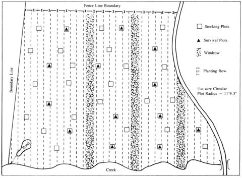 Diagram of plantation stocking and survival sampling. 