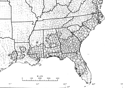 Diagram of the natural range of longleaf pine.