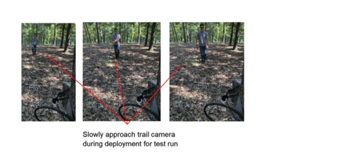 A person slowly walks closer to a trail camera in the forest.