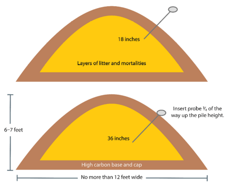 Two illustrations showing the proper way to monitor windrow temperature. One temperature reading should be taken at 18 inches, and another reading should be taken at a depth of 36 inches by inserting the probe three-fourths of the way up the pile height. For more information, refer to the Temperature Monitoring Procedure section.