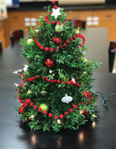 The completed topiary tree is decorated like a Christmas tree.