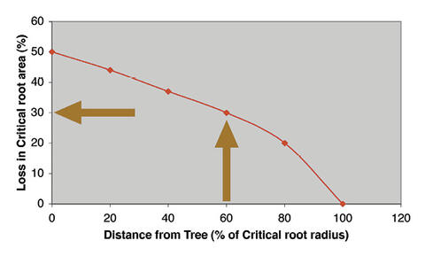 Loss in critical root area decreases as distance from tree increases.
