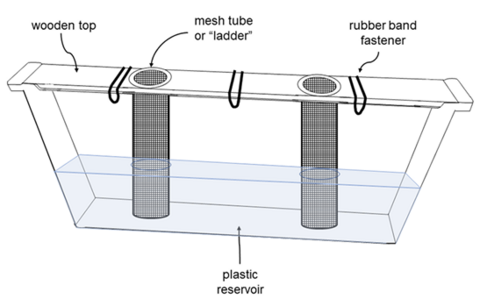 Diagram of a division board feeder with labels for the wooden top, mesh tube &quot;ladders,&quot; rubber band fasteners, and the plastic reservoir, all described in the caption.
