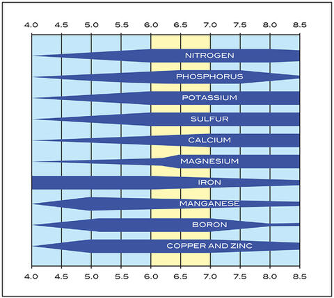 Availability of nutrients (N, P, K, S, Ca, Mg, Fe, Mn, B, Cu, Zn) from pH 4 to 8.5. Availability varies from zone to zone. The ideal soil pH range for nutrient availability is between 6 and 7.