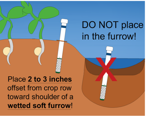 Diagram of placing sensors 2 to 3 inches offset from the crop row and toward the shoulder of a wetted soft furrow. The text in the diagram warns to not place the sensor in the furrow.