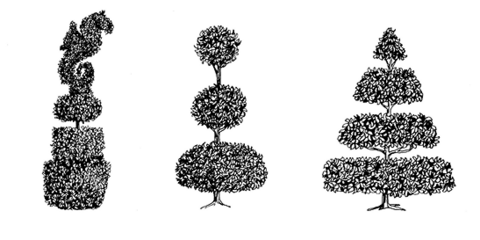 Drawing of three topiaries. One has a squarish base, round center, and a sea lion shape on the top. One has three sections that are round, evenly spaced, and progressively smaller toward the top. One has four sections that are flat and round, evenly spaced, and progressively smaller toward the top, resulting in an overall triangle shape.
