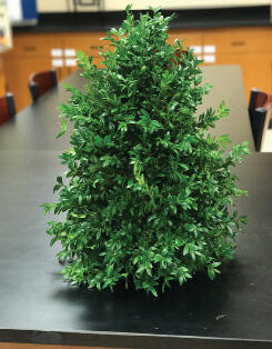 Completely covered foam brick with greenery in the shape of a small Christmas tree.