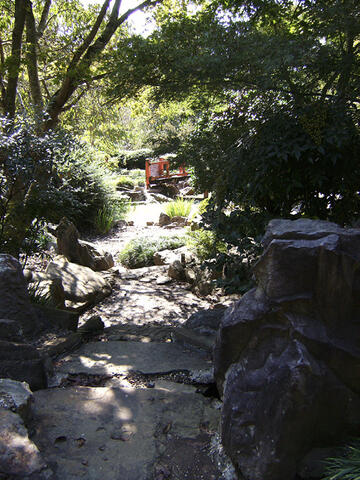 Dry swale features stones in a forest.