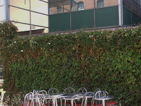 An ivy-covered wall is next to tables and chairs in the city.