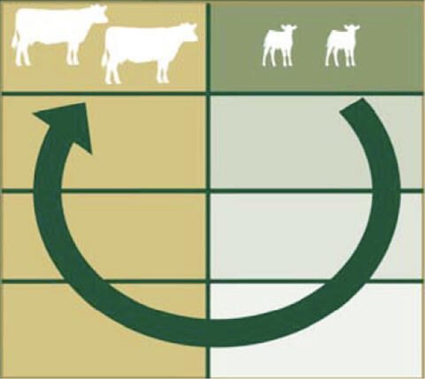 Illustration of forward creep grazing method described in the Creep Grazing section.
