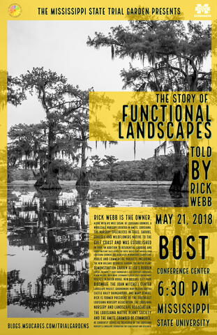 The Story of Functional Landscapes