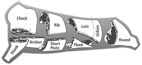 Beef wholesale cuts are chuck, shank, brisket, rib, short plate, loin, sirloin, flank, and round.