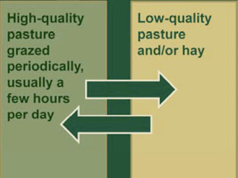 Illustration of limit grazing method described in the Limit Grazing section.
