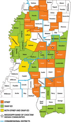 Mississippi map showing relevant programs. EFNEP is in the following counties: Marshall, Tate, Lafayette, Lee, Chickasaw, Quitman, Tallahatchie, Grenada, Attala, Winston (includes MBCI communities), Kemper (includes MBCI communities), Newton (includes MBCI communities), Clark, Simpson, Scott, Jefferson Davis, Marion, Jones (includes MBCI communities), and Wayne. SNAP-Ed is in these counties: Panola, Coahoma, Bolivar, Sunflower, Humphreys, Sharkey, Issaquena, Yazoo, Madison, Leake (includes Missi