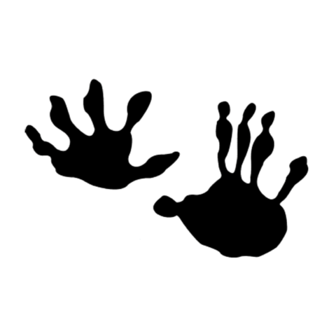 Opossum Track